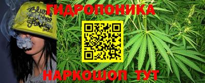 прущие крисы Свободный