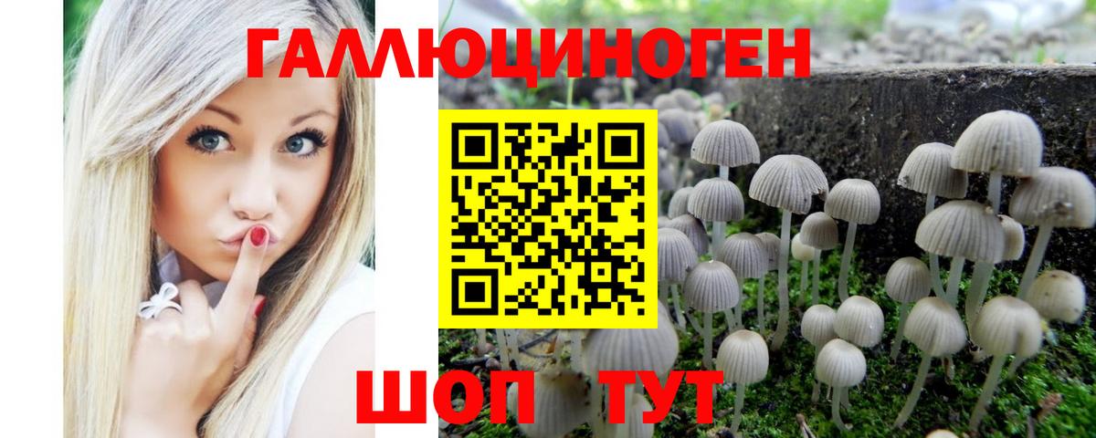 Северск  Псилоцибиновые грибы прущие грибы  Вход с VPN 